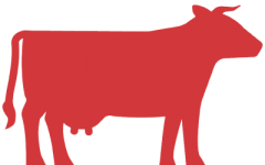 homan-koe-rood